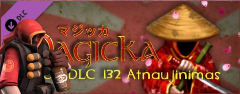 132 atnaujinimas