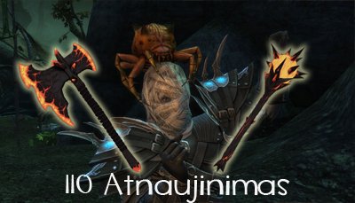 110 Atnaujinimas