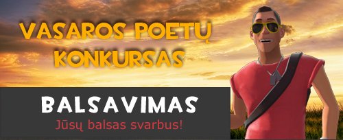 Vasaros poetų konkurso balsavimas