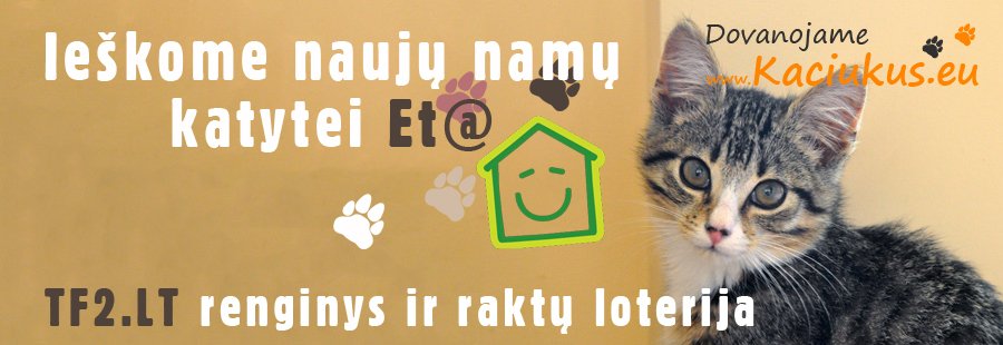 Ieškome naujų namų katytei Et@