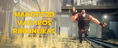 MaxOfS2D vasaros rinkinukas