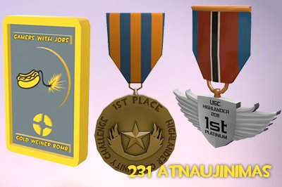 231 Atnaujinimas